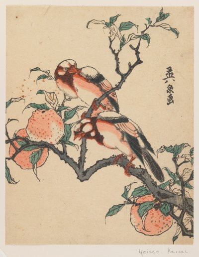 Grenades et oiseaux, c.1840 - Keisai Eisen